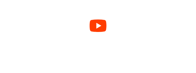 视频介绍